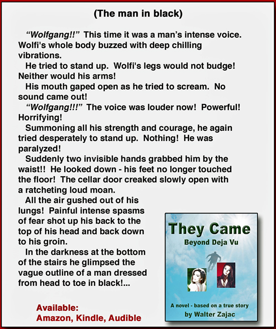 They Came - Beyond Deja Vu - a novel