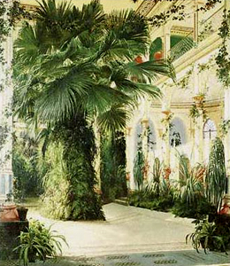 palms in mansion