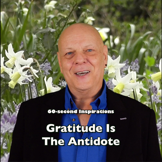 Gratitude Is The Antidote - video