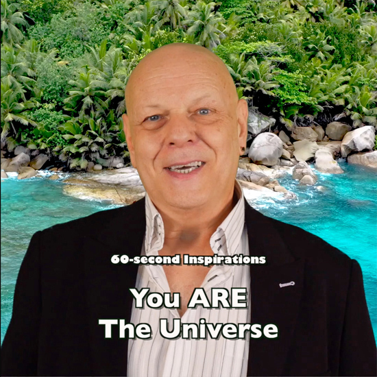 You Are The Universe - video