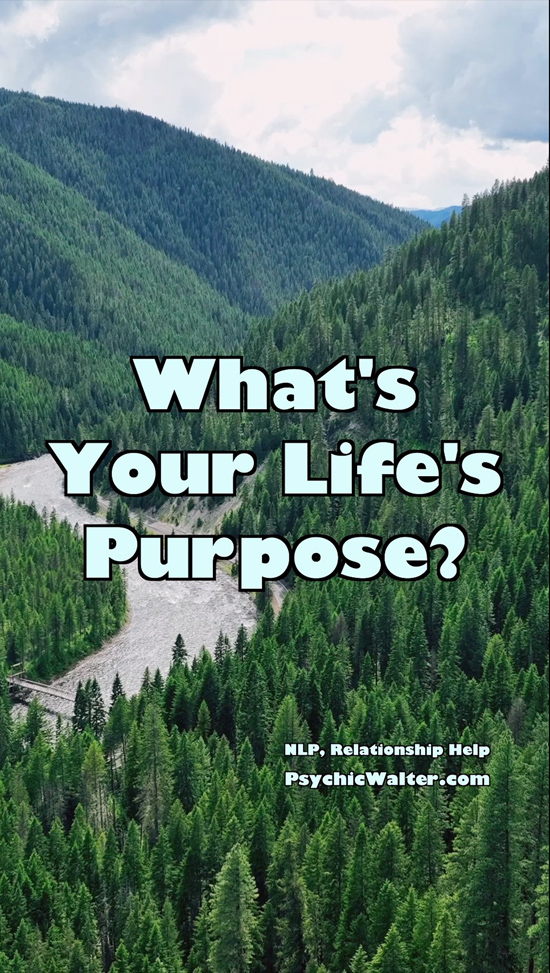What's Your Life's Purpose? - video
