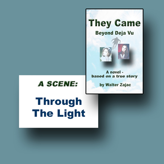 They Came - Through The Light Scene