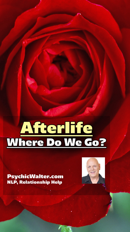 Afterlife. Where Do We Go